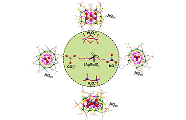 Anion-templated Self-assembly for the Preparation of Silver-t-butylthiolate Clusters 2011-3357
