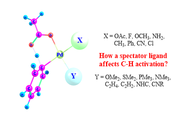Theoretical Measurements of Quantitative Effects Caused by Spectator Ligands on Palladium-catalyzed C−H Activation 2011-3286