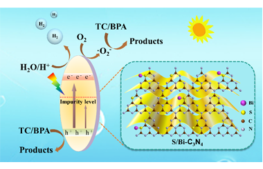Bi and S Co-doping g-C3N4 to Enhance Internal Electric Field for Robust Photocatalytic Degradation and H2 Production 2022-0103