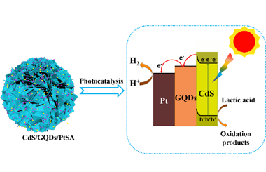 Enhanced Photocatalytic H2-production Activity of CdS Nanoflower using Single Atom Pt and Graphene Quantum Dot as Dual Cocatalysts 2022-0124